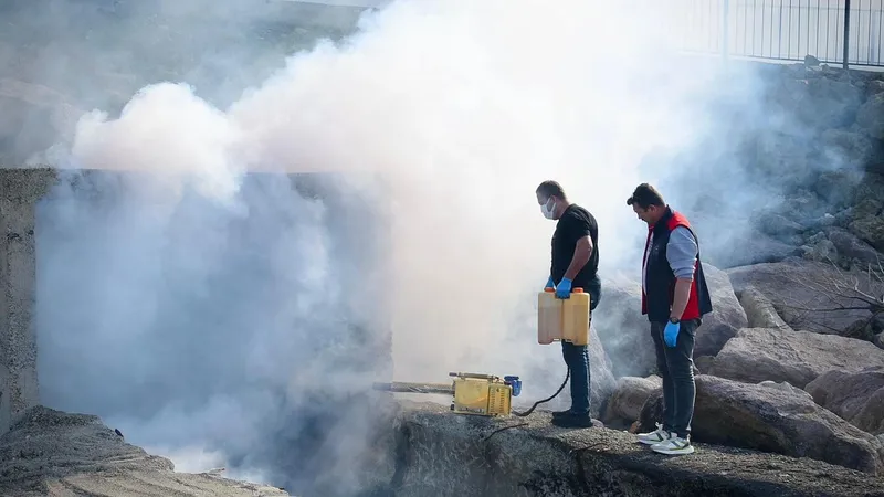 Giresun Belediyesi sahil bölgesi menfezlerini ilaçladı