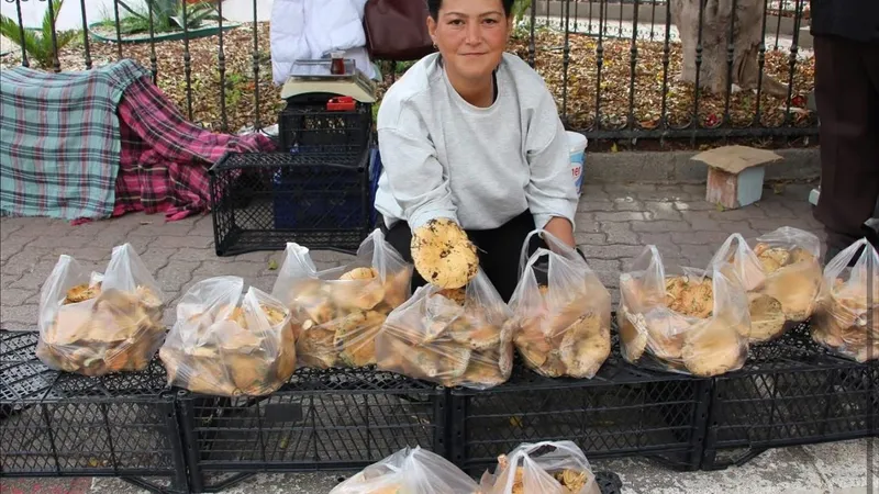 Kumluca’da sonbaharın bereketi: Kanlıca mantarları ekonomiye can veriyor