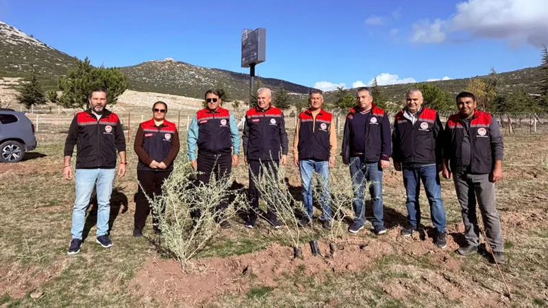 Isparta’da meralar güçleniyor: 33 bin tuz çalısı toprakla buluştu