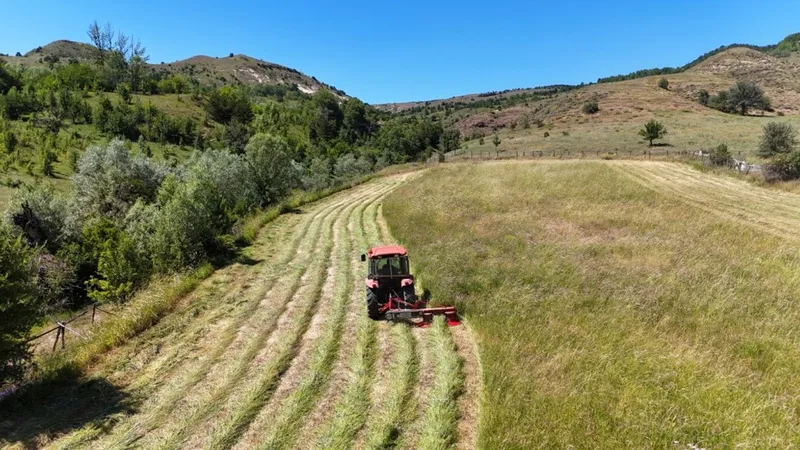 Türkiye, 7 tarımsal üründe dünya birinciliğini elinde tutuyor