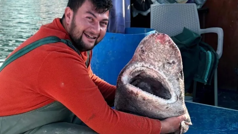 Yalova’da bir balıkçı 4 metrelik köpek balığı yakaladı