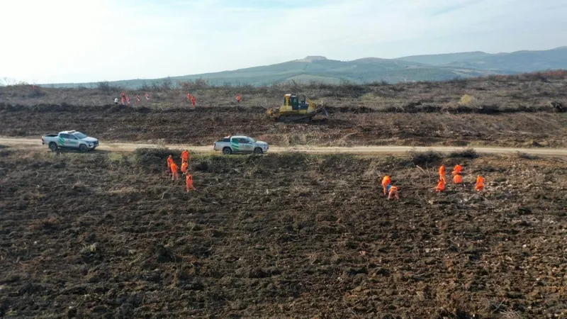 “Alev savaşçıları” bu kez yangın alanları yeniden yeşillendiriliyor