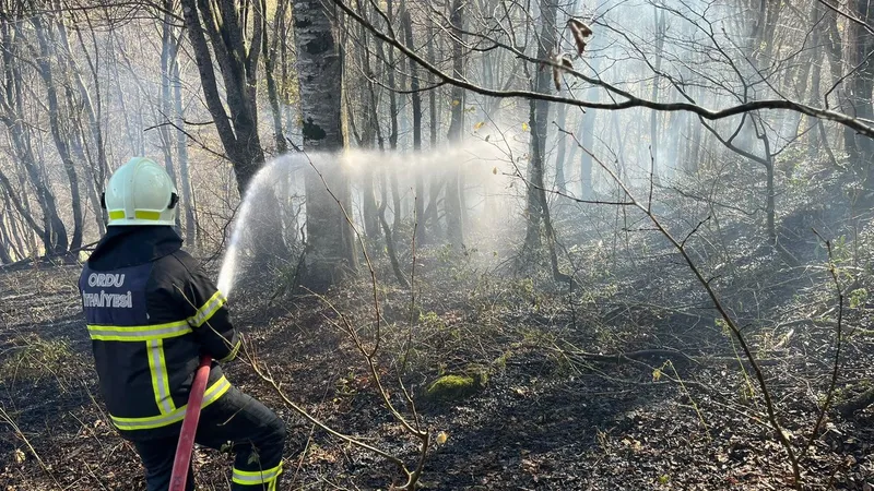 Ordu’da son bir haftada 40 yangın