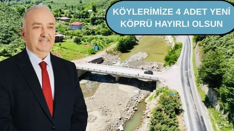 Milletvekili Ali Temür köprü ve yolların yapılacağını açıkladı