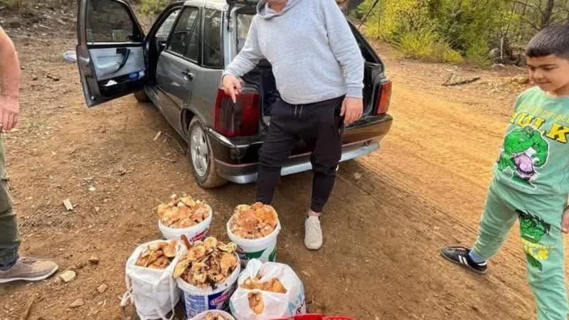 Babasının anısına mantar toplayıp mahalleliye dağıtıyor