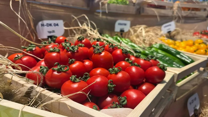 Türkiye tohumda ihracatçı ülke konumunu güçlendirdi
