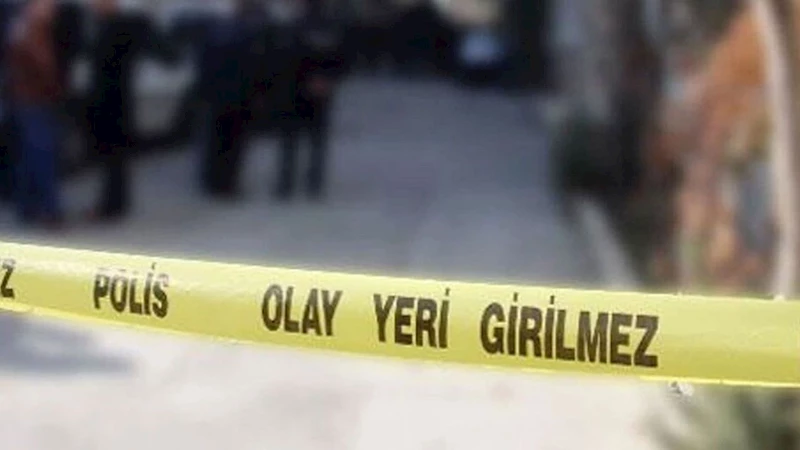 Ankara’da evindeki yavru köpekleri katleden doktor tutuklandı