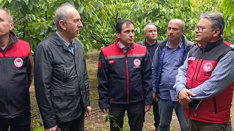 Tarım uzmanları Amasya’da don hasarını yerinde inceledi