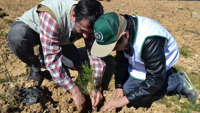 İHH yetimler için 160 bin fidan dikti