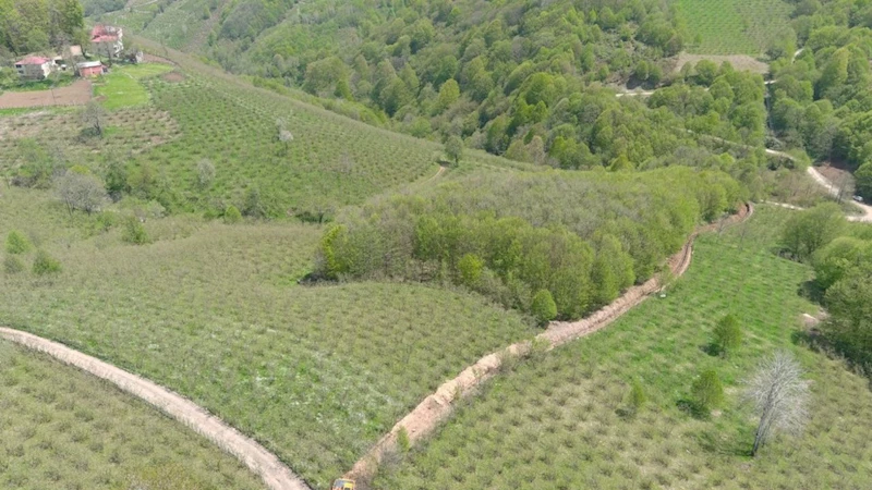 Ordu Büyükşehir Belediyesi