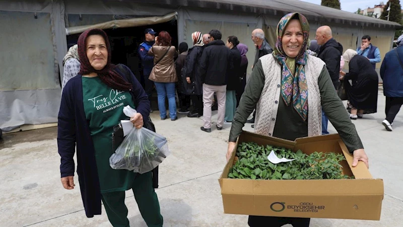 Ordu Büyükşehir Belediyesi