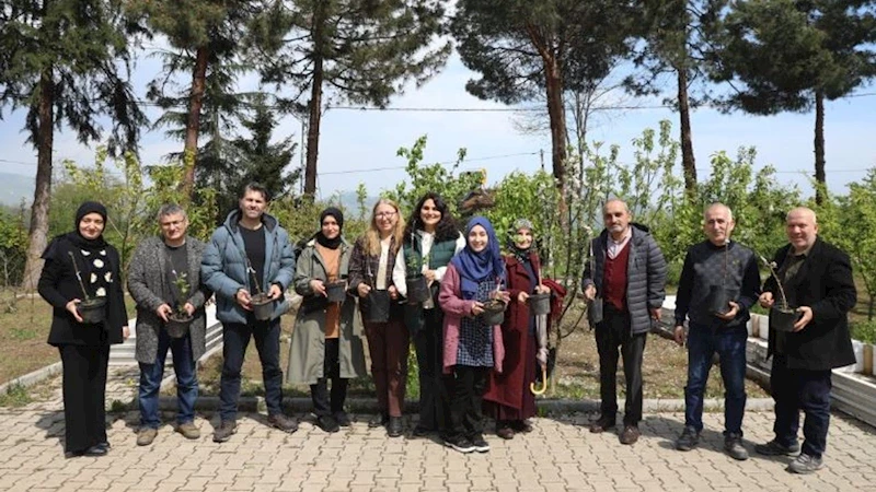 Ordu’nun meyve ağaçları profesyonel ellerde aşılanacak