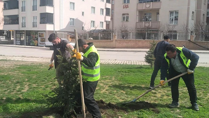 Bayburt Belediyesinden bahar mesaisi