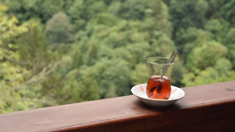 Rize