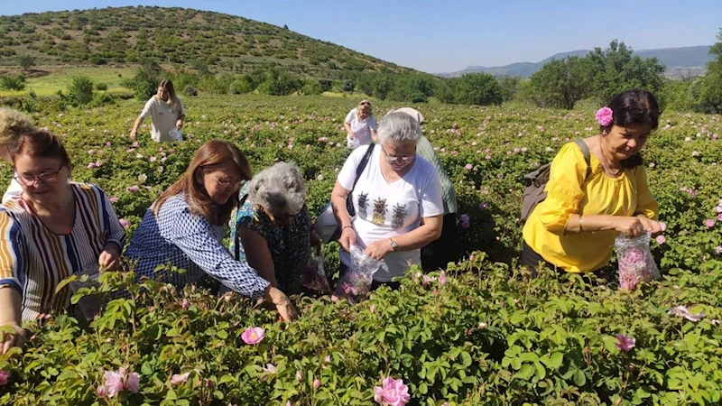 Isparta’ya gül turizminde bu yıl rekor ziyaretçi bekleniyor