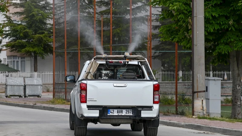 Konya Selçuklu