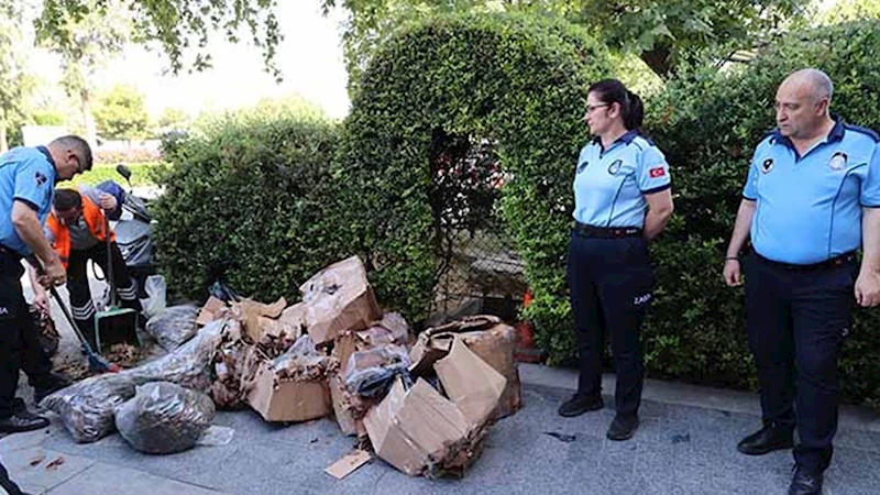 Antalya Otogarında yasağa rağmen kerevit ve yengeç kaçakçılığı!