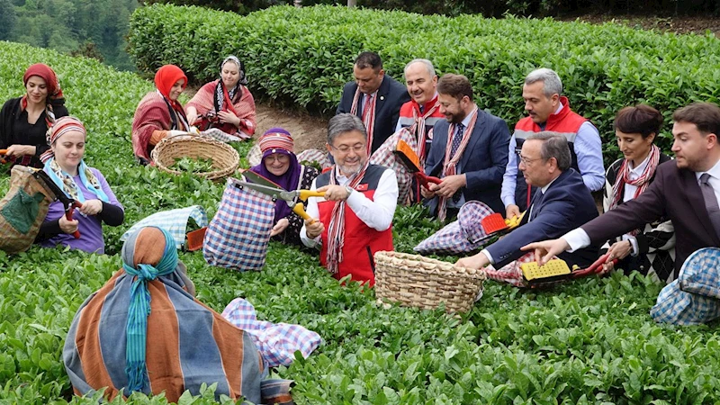 İbrahim Yumaklı: Meteorolojik olayların çaya bizim korktuğumuz bir etkisi olmadı