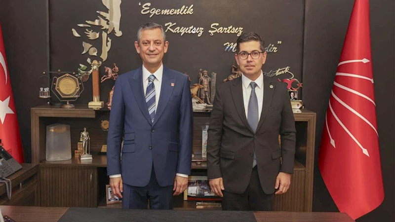 Halıcı