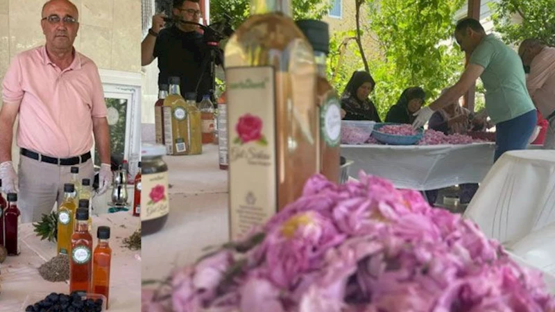 Doğada ne varsa sirke yapıyorlar