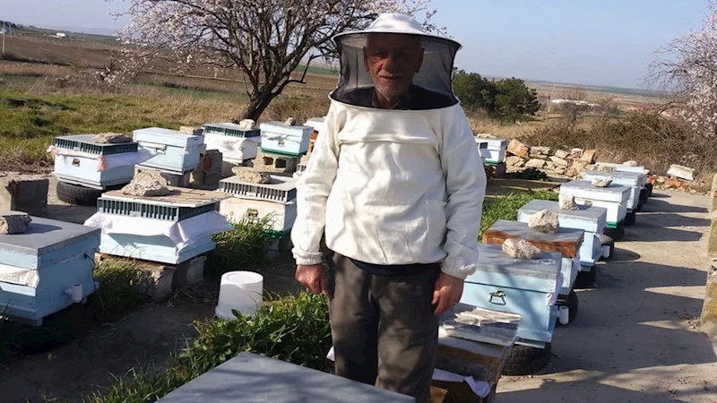 Süne mücadelesi faydalı canlıları tehdit ediyor