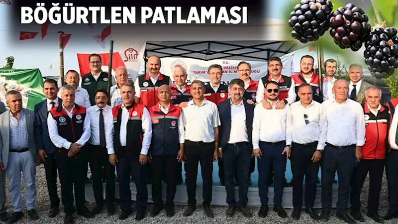 Batman böğürtlen diyarı oldu