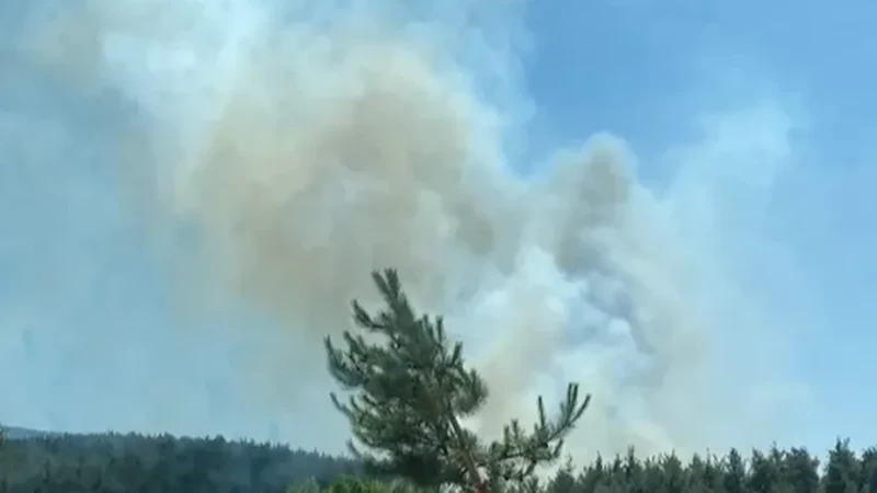 Son dakika... Bursa’da anız yangını ormana sıçradı!