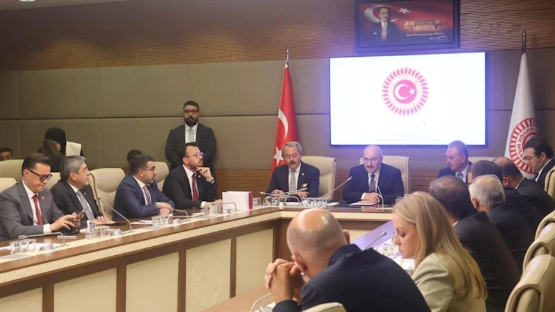 Kars Milletvekili Adem Çalkın, TBMM Komisyon seçiminde katip üyeliğe seçildi