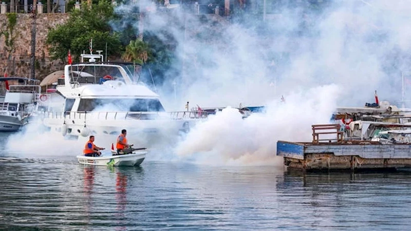 Antalya’nın her köşesinde vektörle mücadele