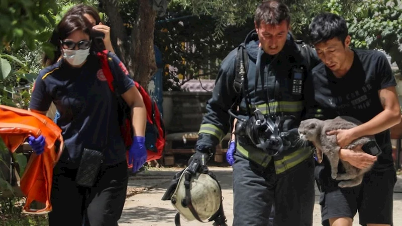 Yangında mahsur kaldığı evde kedisini bir an olsun bırakmadı