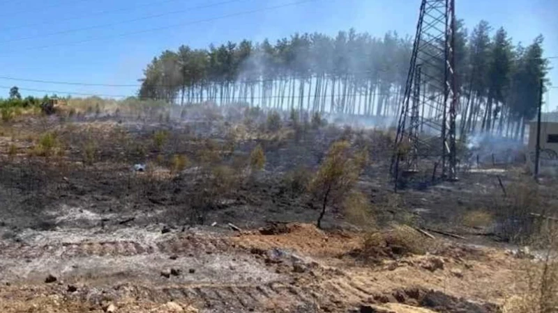 Antalya Aksu’da orman yangını kısa sürede söndürüldü