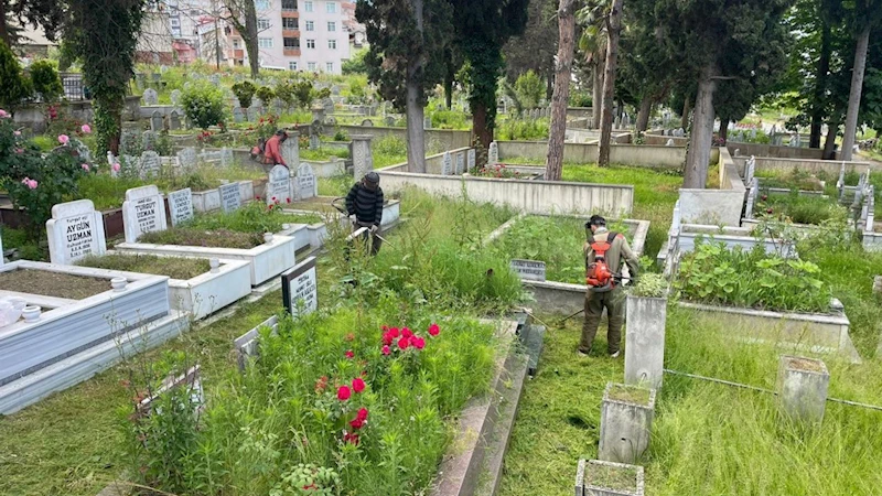 Ordu