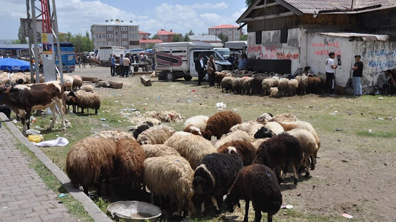 Kars’ta Kurban Bayramı yoğunluğu: Çarşı, pazar ve trafikte hareketlilik arttı