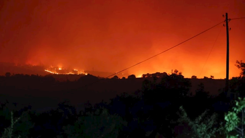 Bilecik’te korkutan orman yangını
