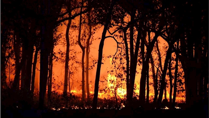 50 bin kişi güvenli bölgelere tahliye edildi