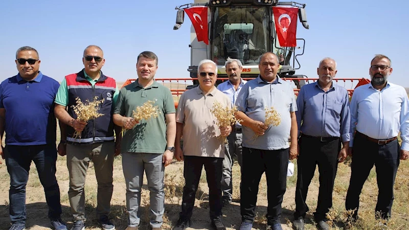 Boş araziler üretime kazandırıldı
