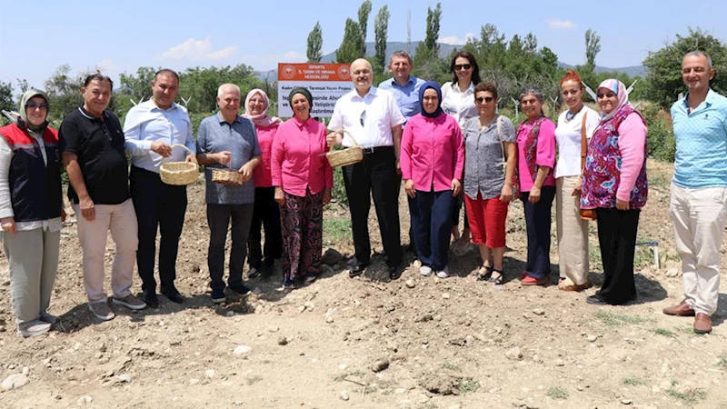 Isparta