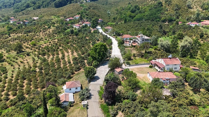 Ordu Ünye
