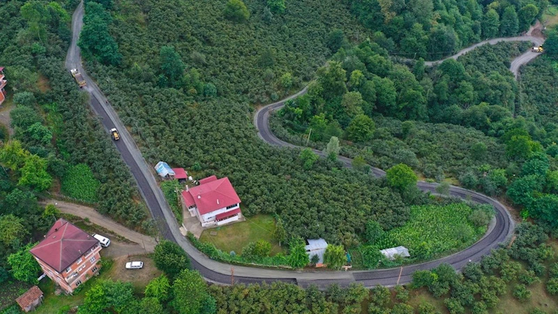 Ordu