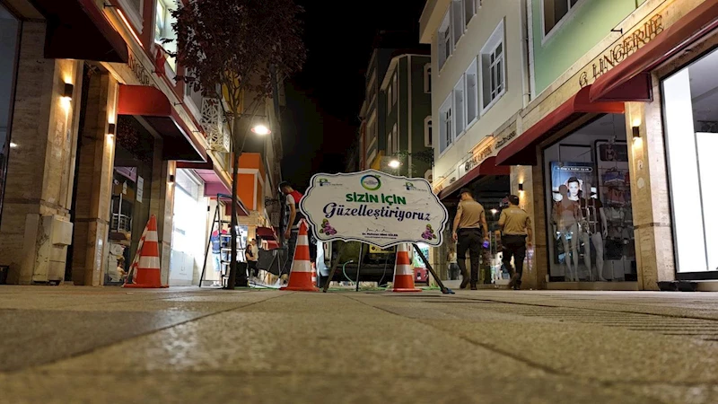 Ordu