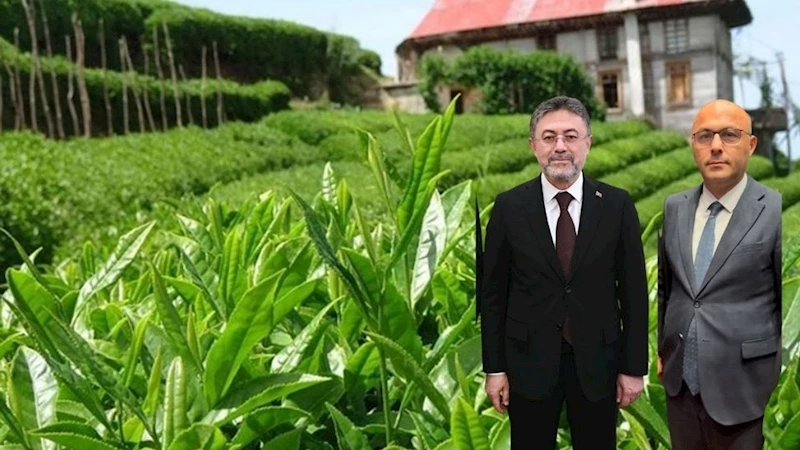 Bakan Yumaklı, BHA